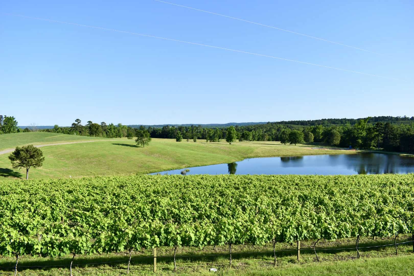 things to do near Jefferson tx