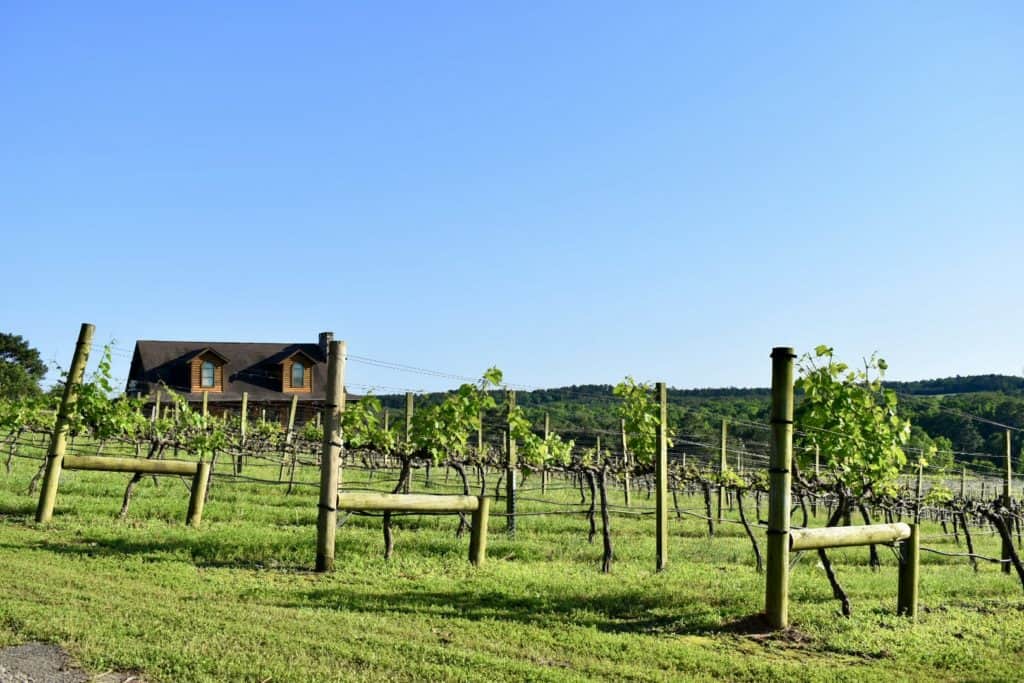 fun things to do in jefferson tx