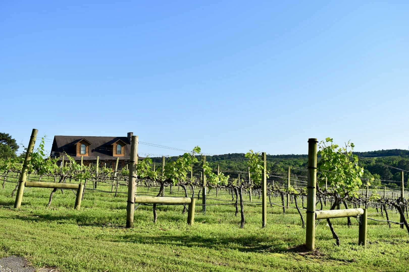 fun things to do in jefferson tx