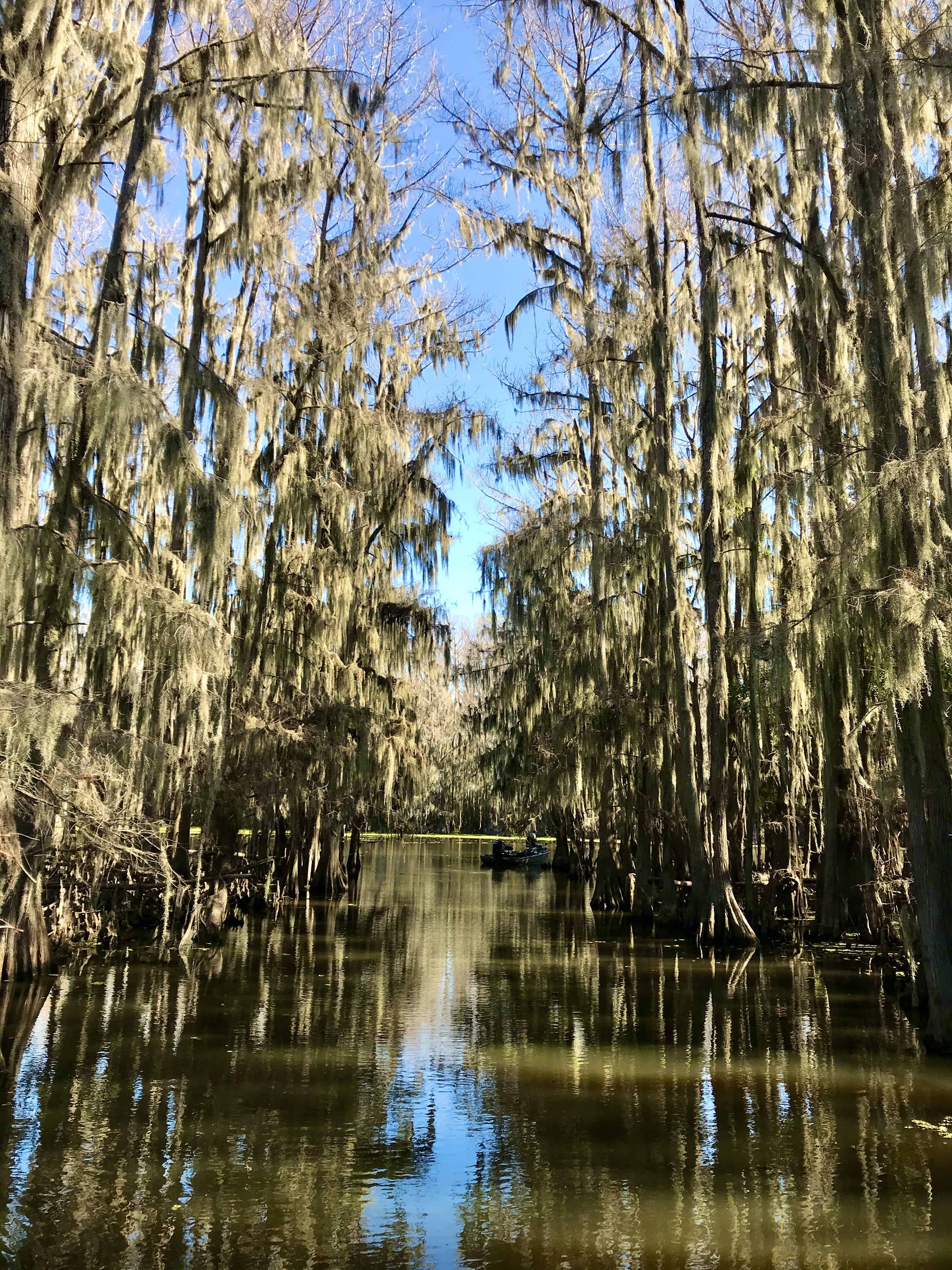 Caddo Lake