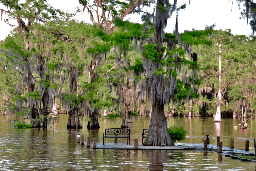 uncertain texas