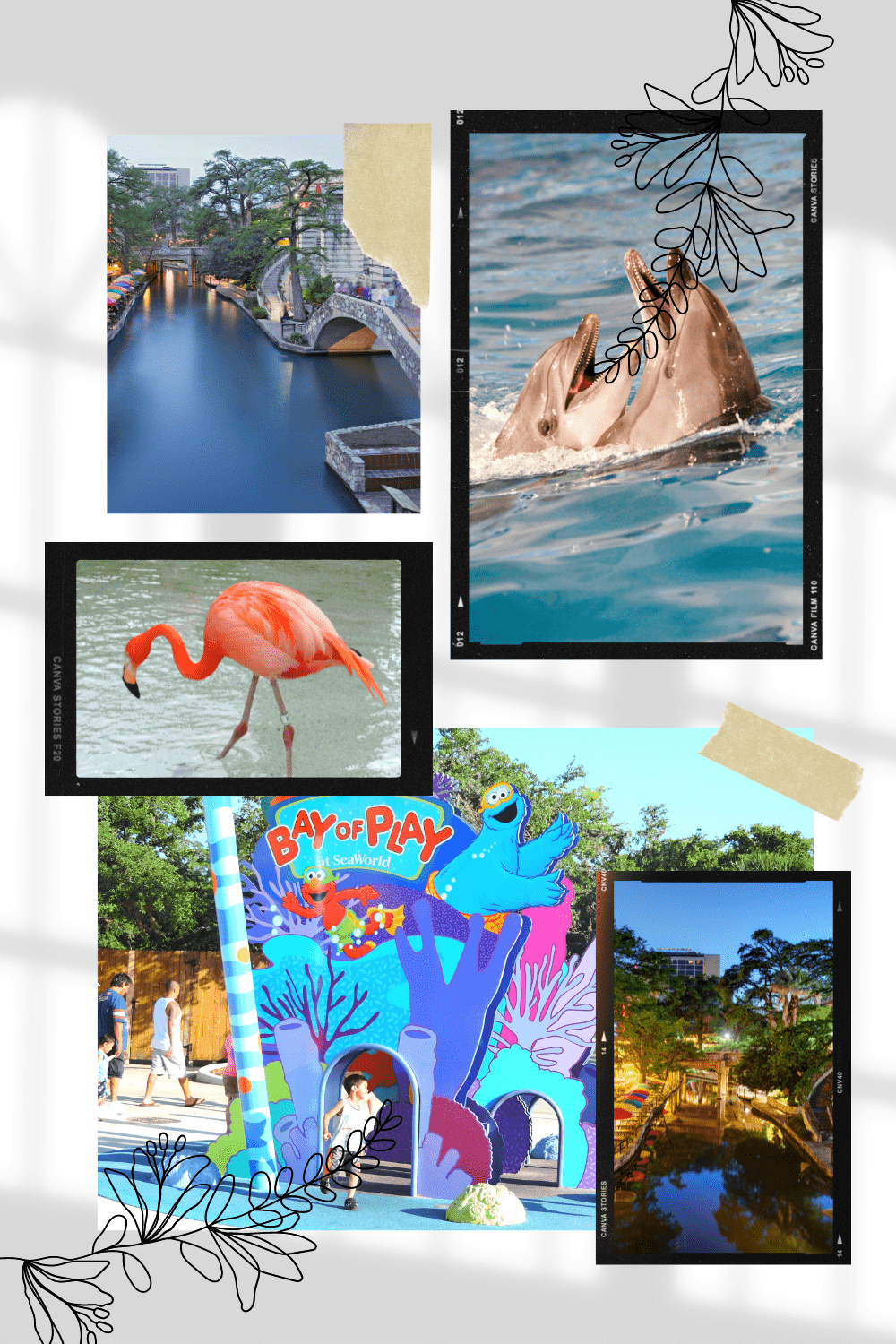 SeaWorld San Antonio (1) day trips from dallas