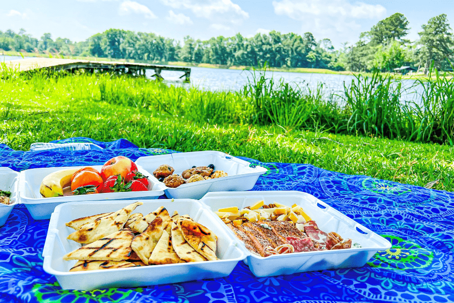 Palestine Texas Picnic palestine texas