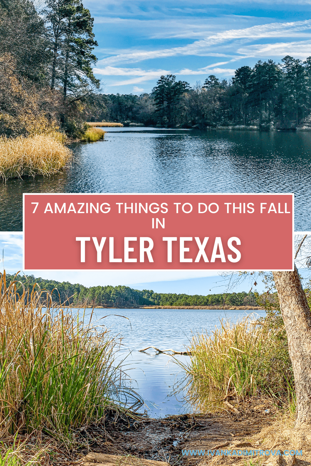 Tyler Texas