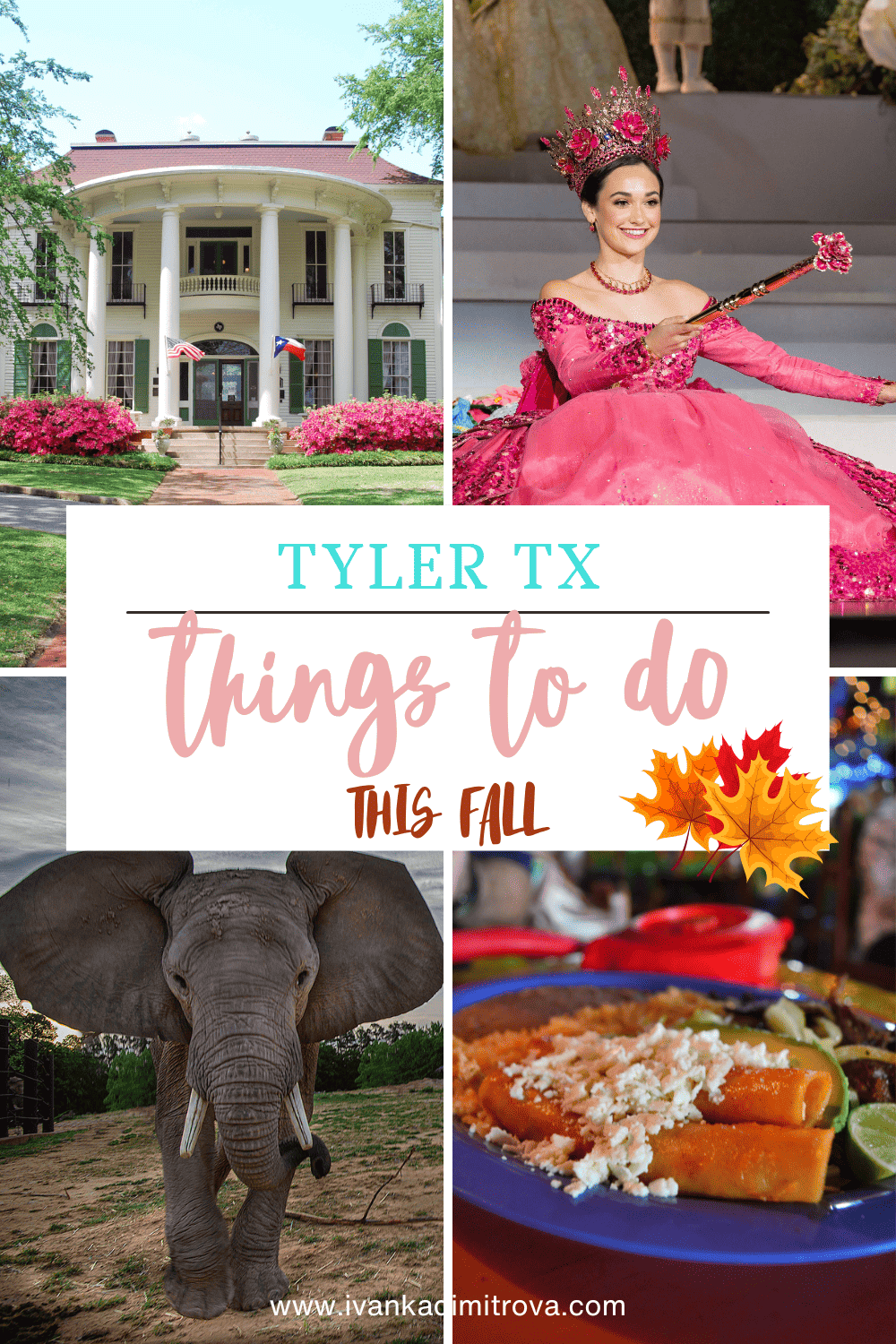 Tyler TX Things to do